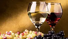 Treasury Wine Estates First Half Results Exceed Analysts’ Estimates