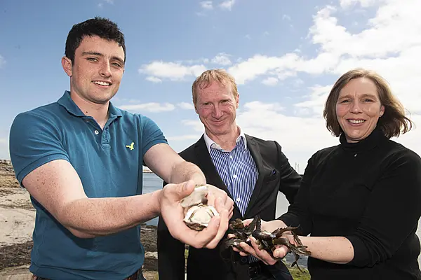 BIM And Fáilte Ireland Launch New Seafood Trail On Wild Atlantic Way