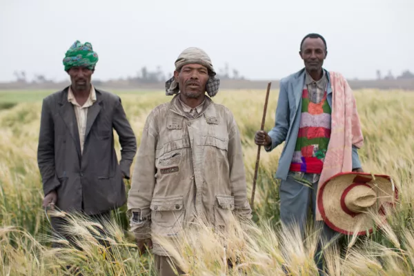 Diageo Announces Partnership With Gorta To Support Ethiopian Barley Farmers