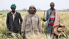 Diageo Announces Partnership With Gorta To Support Ethiopian Barley Farmers