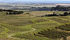 Study Reveals Most Popular Spanish Wine Regions