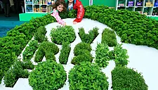 Love Irish Food Pavilion Returns To Bloom