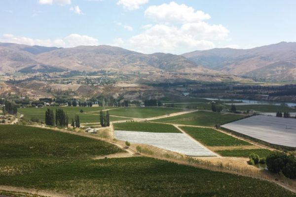 New Zealand Winegrowers Opens Sommelier Scholarship To Ireland