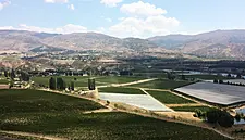 New Zealand Winegrowers Opens Sommelier Scholarship To Ireland