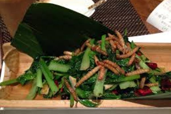 A Mouth Full of Crickets? Lobbyists Speak Up for Edible Insects