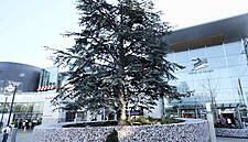 Dublin's Harvey Nichols Restaurant Closes