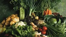 Taste Council of Ireland Celebrate Small Producers