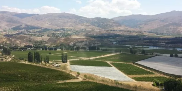 Winery Seeks 'Lord of the Rings' Inspiration in Kiwi Export Drive