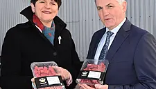 Profits Rise For Northern Irish Meat Processor Dunbia