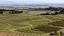Australian Wine Exports Reach $2.1 Billion