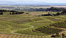 Australian Wine Exports Reach $2.1 Billion