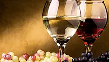 United Kingdom Vineyards Association Appoints Its First CEO