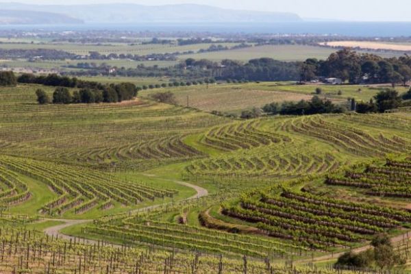 Eurostar Studies 'Vineyard Express' to Bordeaux as Sales Revive