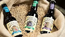 Rye River: 2016 'Will Be A Stratospheric Game Changer'