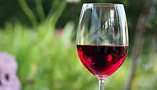 Spanish Winemaker Launches Campo Viejo Tapas Trail in Dublin