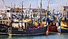 New Seafood Restaurant Tour Launched In Howth