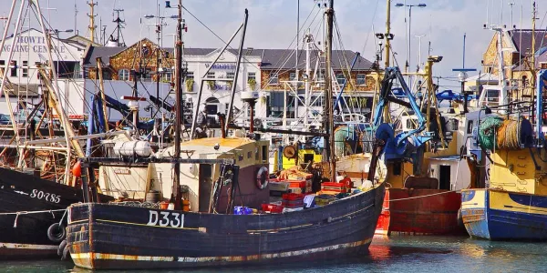 New Seafood Restaurant Tour Launched In Howth