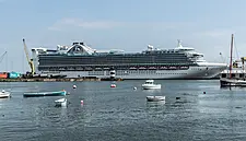 Cruise Ship Tourism Numbers Decline By 8%