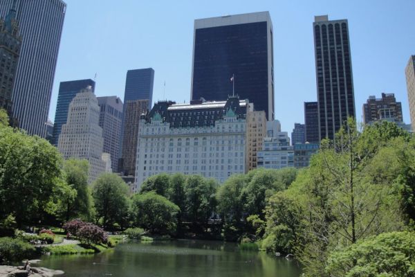 Plaza Hotel Owner Hires Broker to Find Buyer for NYC Icon