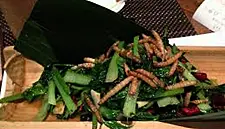 This Restaurant Is Taking Insects to the Next Level