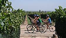 Six Lesser-Known Wine Destinations That Have New Thrills in 2018