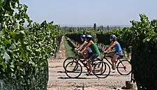 Six Lesser-Known Wine Destinations That Have New Thrills in 2018