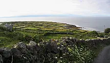 Plans Emerge To Improve Wild Atlantic Way Experience In Local Areas