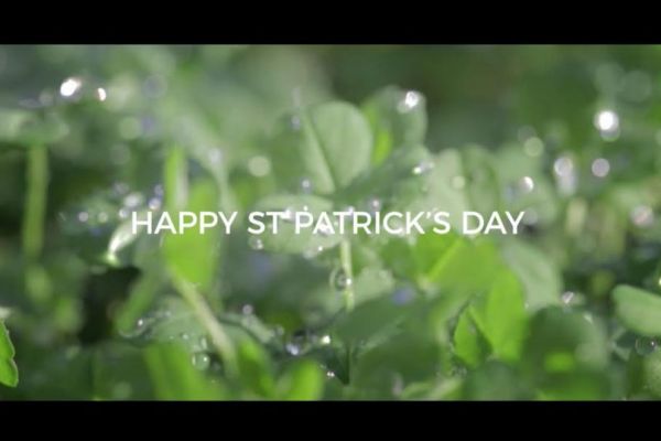 WATCH: Tourism Ireland's New Film For St Patricks Day