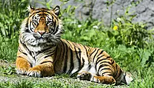 Profits And Visitor Numbers Rise At Fota Wildlife Park