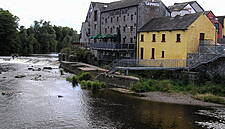 Dublin & Limerick Eateries Put On The Market By Morissey's
