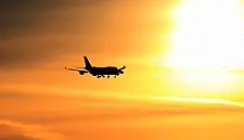 Airline Earnings to Jump 11% as Fares Rise and Cargo Rebounds