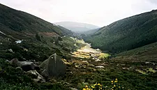 Wild Wicklow Tours Named Ireland's Best Travel Experience