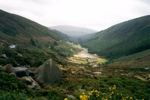 Wild Wicklow Tours Named Ireland's Best Travel Experience