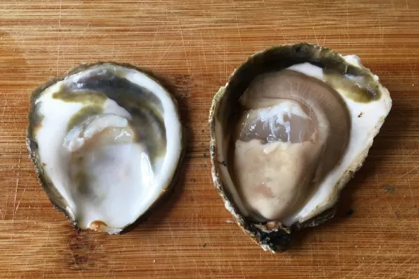 Raspberry-Flavoured Oysters? French Farmer Tries Twist on Classic