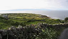 New €3m Cruise Ship To Service Aran Islands From May