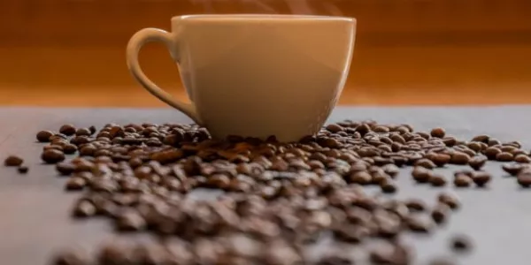 Irish Barista Sets Up Coffee-Focused Recruitment Firm