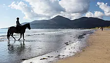 Tourism Ireland Welcomes 4% Growth In Overseas Visitors To Northern Ireland For January-September 2017