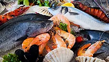 Irish Seafood Sales Exceed €1bn