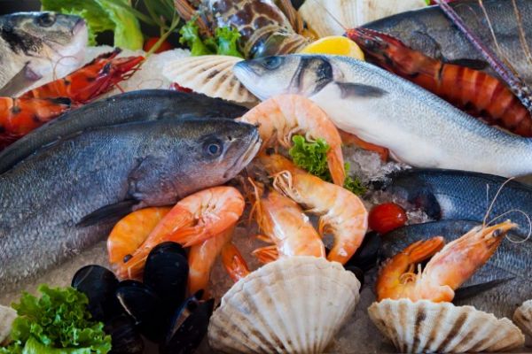 Irish Seafood Sales Exceed €1bn