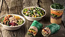 Healthy Food Franchise Freshii To Expand In Ireland