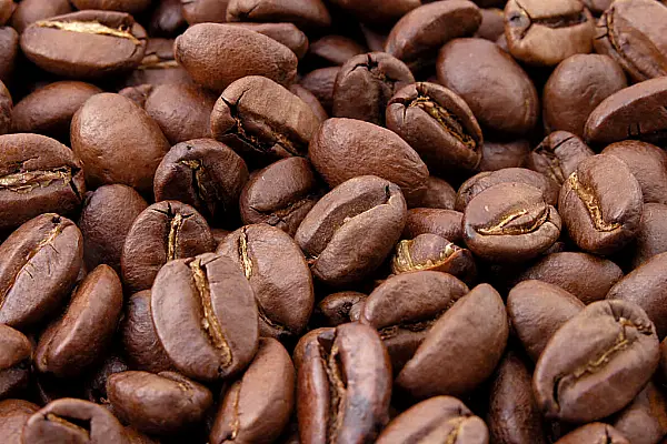 Unique Coffee Opportunity For Coffee Distributors