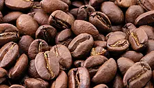 Unique Coffee Opportunity For Coffee Distributors