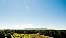 Tourism Ireland Welcomes Announcement Of New Visa Option For Chinese Visitors