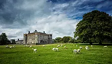 Latest CSO Figures Paint A 'Very Mixed Picture', Says Tourism Ireland