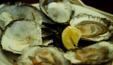 New Tourism Ireland Video Highlights Ireland's Food Offerings