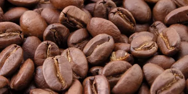 Lisburn's Pure Roast Coffee Opens New Store In Shanghai