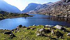 Kerry Hotelier Expects Multiple Hotels To Shut Down In The County
