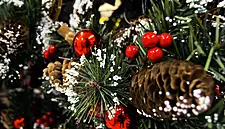 Tourism Ireland Launches Christmas Content Campaign