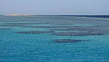 Saudi Arabia's Red Sea Project Secures 'Green' Loan For New Hotels