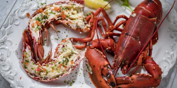 New Seafood Trail Launched In Co. Louth